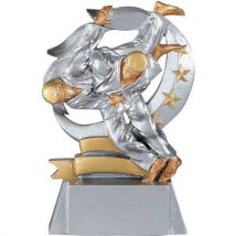 Trophée Judo Argent Résine 15cm - Récompense Sportive Idéale