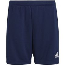 Short Enfant - Adidas - Entrada 22 Training Bleu Marine