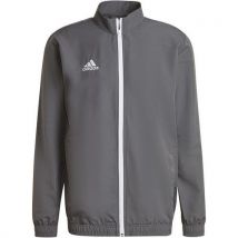 Veste De Survêtement - Adidas - Entrada 22 Presentation Gris