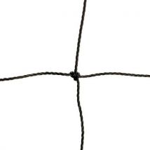 Filet De Volley Ball Club Match