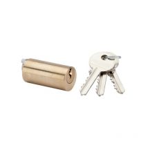 Cylindre rond 1049-40 varié simple laiton cylindre rond 1049-40 40 mm 1 pièce(s) - dom tss