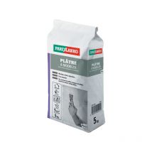 Plâtre à modeler pour usage intérieur 1 sac(s) de 5 kilogramme(s) plâtre à modeler pour usage intérieur poudre multisupport - sika france sas - parexl