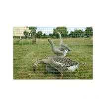 Grillages à volière grillage galva 13 x 13 mm ø fil 0.8 mm ht 1 m 1 rouleau(x) de 25 mètre(s) linéaire - dirickx