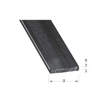 Plats acier laminé à chaud verni 1 barre(s) de 2 mètre(s) linéaire profilé plat 20 x 4 mm - acier laminé à chaud verni - cqfd