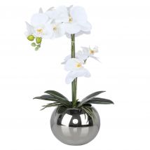 Belles Décorations Orchidee Phalaenopsis, ca. 41 cm x weiß
