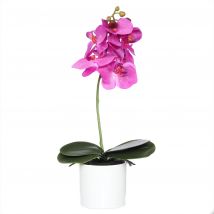 Belles Décorations Orchidee Phalaenopsis im weißen Keramiktopf, 40 cm x pink