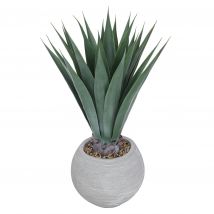 Belles Décorations Agave x grün-grau