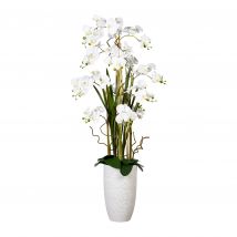 Belles Décorations Orchidee Phalaenopsis inkl. Keramikvase Höhe 160cm x weiß