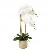 Belles Décorations Orchidee Phalaenopsis inkl. Keramiktopf natur,76cm x weiß