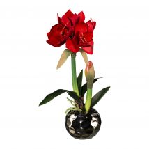 Belles Décorations Amaryllis x2 Real touch x rot