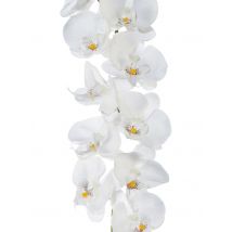 Belles Décorations Orchideen-Girlande Penelope