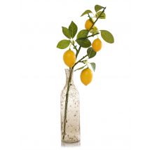 Sascha Heyna rundum dekorativ Glasvase Lemontree mit Zitronenzweig