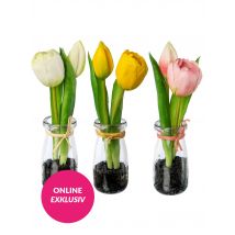 Belles Décorations Tulpe, 3er Set x rosa/gelb/weiß