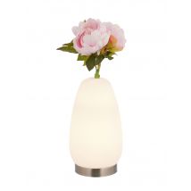 Sascha Heyna rundum dekorativ Pfingstrosenarrangement in beleuchteter Vase x rosa