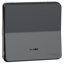 Va-et-vient lumineux Schneider Mureva Styl IP55 anthracite 10AX 250V