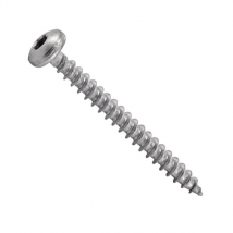 Vis aggloméré TC Torx Acton inox A2 5x60 mm