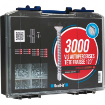 Coffret 3000 vis autoperceuses tête fraisée empreinte cruciforme Phillips TFC Scell-It COF004-TFC