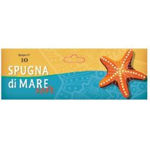Spugna di mare soft m
