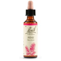 Pine fiori di bach original 20ml