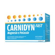 Carnidyn fast magnesio e potassio per caldo e affaticamento gusto arancia 20 bustine