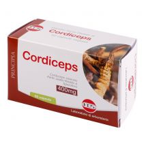Cordiceps estratto secco 60cps