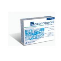 Enterobacilli 10bust