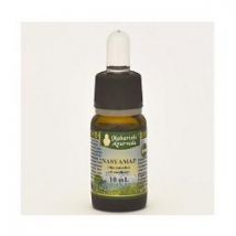 Nasyamap olio 10ml