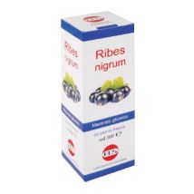 Ribes nigrum mg 100ml gtt
