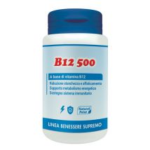 B12 cianocobalamina 500mcg n.p