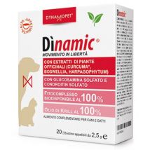 Dinamic 20bustine 2,5ml