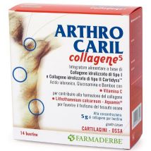 Arthrocaril collagene 14bust