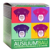 Ausilium bau 100g