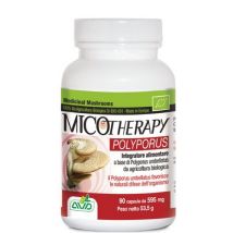 Micotherapy polyporus 90cps