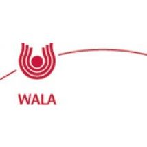 Wala silicea compositum globuli 20 g