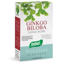 Ginkgo biloba 40cps