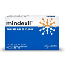 Mindexil*int 20cpr