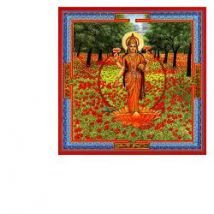 Triphaurum 30ml gtt aurum