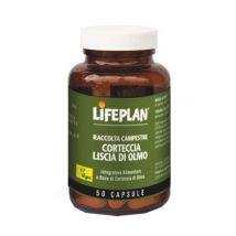 Corteccia liscia di olma 50 capsule