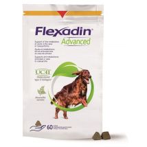 Flexadin advanced cane 60tav m
