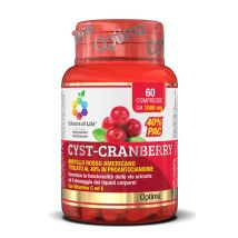 Cranberry c/vitamina c e 60 compresse