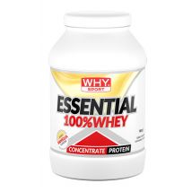 Whysport ess 100% whey van900g