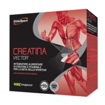 Creatina vector 20bust 8g