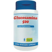Glucosamina 500 100cps