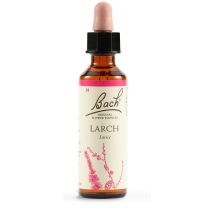 Larch fiori di bach original 20ml