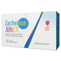 Pharmaluce zachelase junior 10flaconcini 10ml