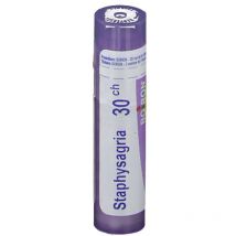 Bo.staphysagria*30ch 80gr 4g