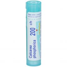 Calcarea phosphorica 200ch80gr