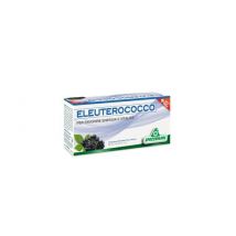 Eleuterococco 12flx10ml
