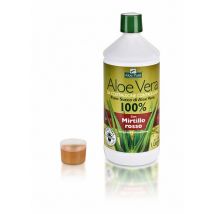 Aloe vera succo mirtillo 1l
