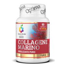 Collagene marino idrol 60 capsule